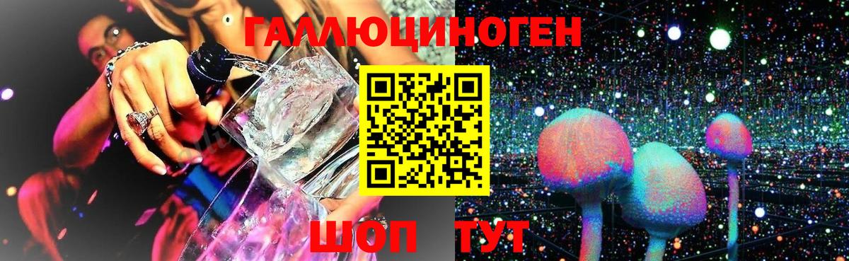 Псилоцибиновые грибы Psilocybe Абинск
